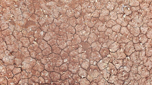 Foto textura de la tierra seca agrietada en la luz natural