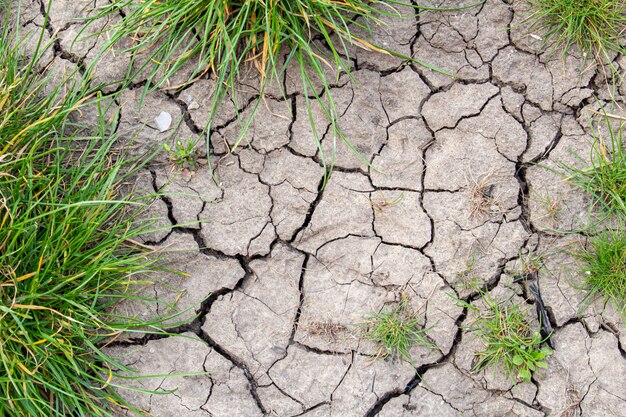 Textura de tierra seca agrietada