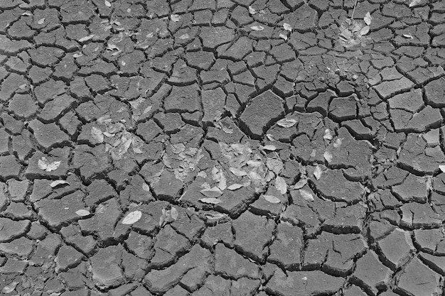 Foto textura de tierra seca agrietada