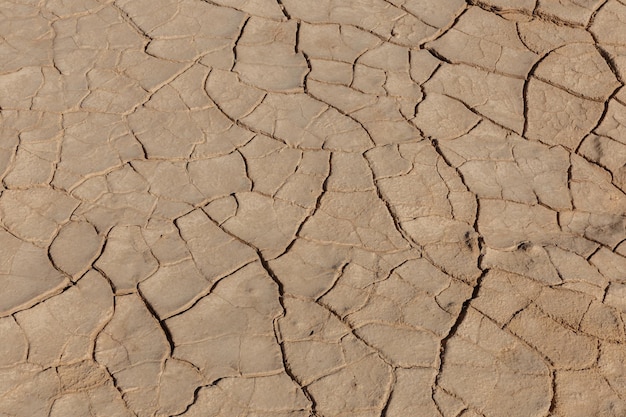 Textura de tierra seca y agrietada