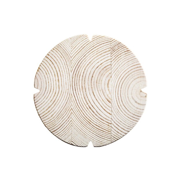 textura de tocón de madera