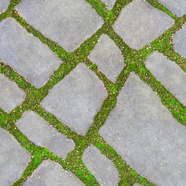 Textura transparente de hierba verde entre baldosas de carretera La hierba verde crece entre baldosas de pasarela