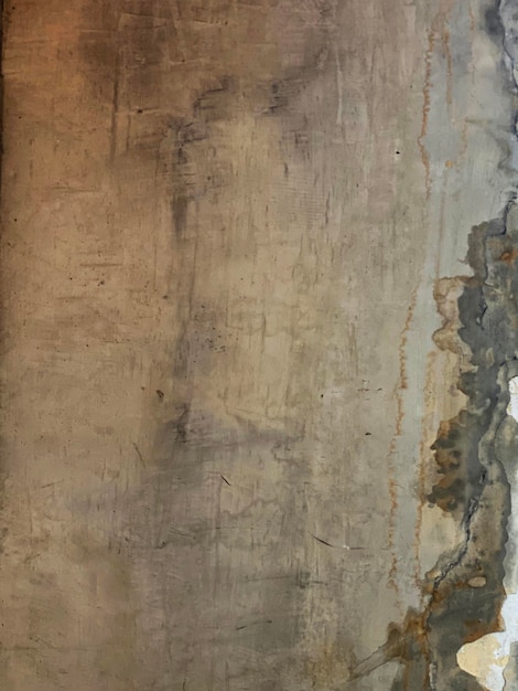 Textura de tronco de madera de árbol, primer plano