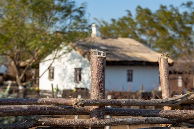 La textura del tronco de madera natural.