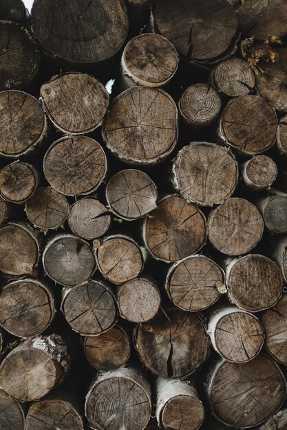 Textura de troncos de madera de diferentes tamaños en un montón