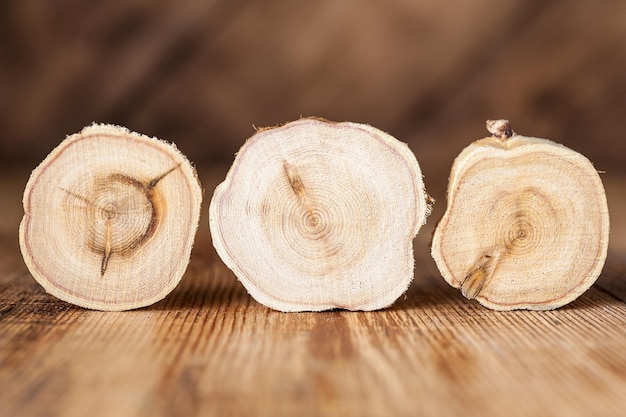 Textura de troncos de madera de sección transversal. Patrón de fondo de tocón de árbol de enebro. Círculos de corte transversal de madera de enebro con anillos de árboles que muestran la historia orgánica de la edad.