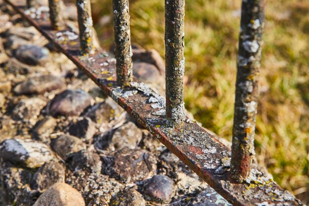 Textura de la valla de hierro rústica con líquenes en el cementerio