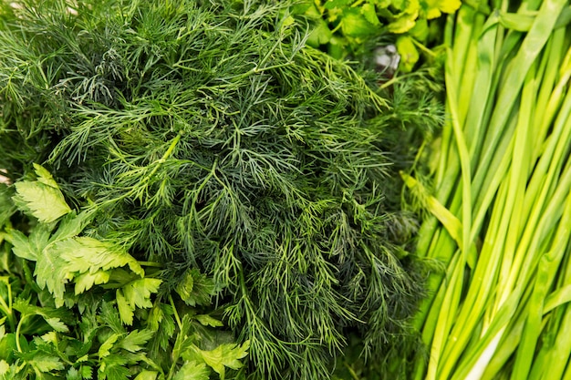 Textura de la vegetación. Vegetbales en la tienda. Dill and onin