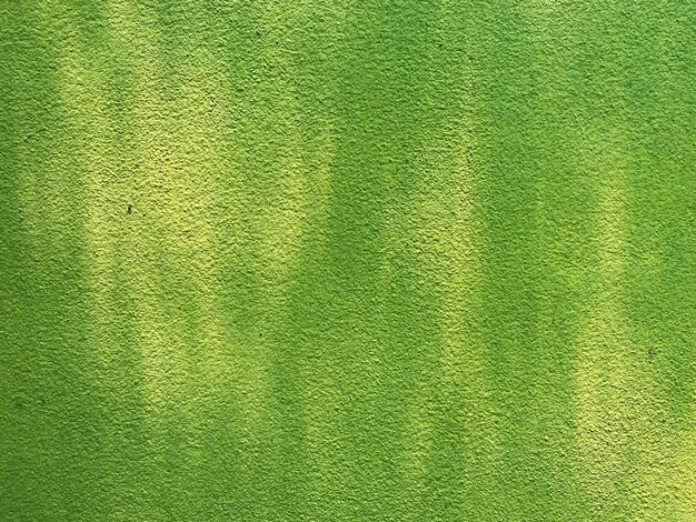 Textura verde de una pared con una raya amarilla.