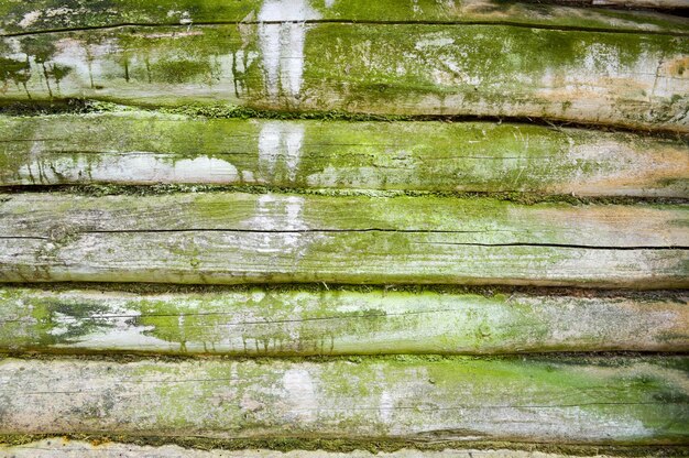 La textura de la vieja pared arbolada de troncos arrojados por musgo verde una valla de ruina horizontal