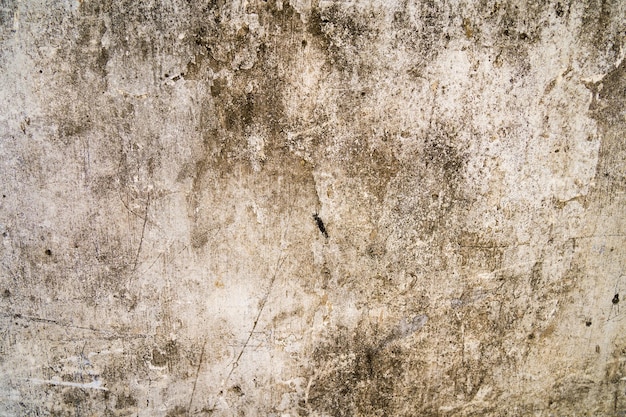 Textura de la vieja pared de hormigón gris para el fondo Óxido dañado en la superficie de la pared de hormigón para el fondo Textura áspera en la forma áspera de la pared gris debido a la capa de pintura descascarada debido a la lluvia