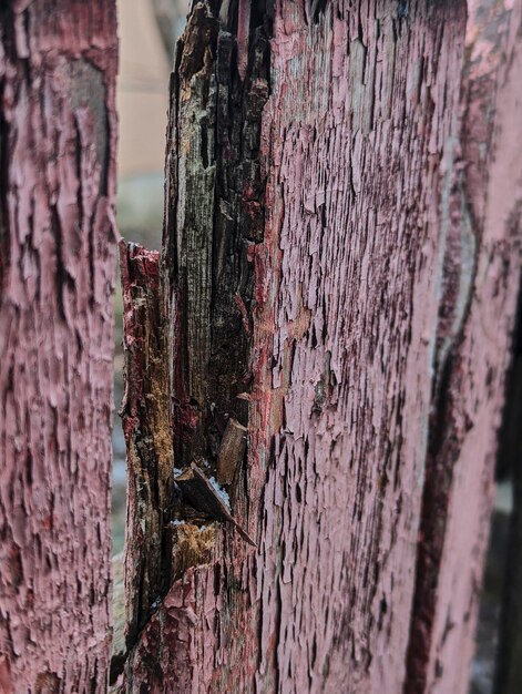 textura de la vieja valla de madera con peeling pintura de fondo grunge