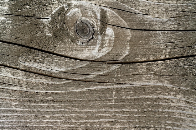 La textura de un viejo árbol en descomposición Fondo de madera