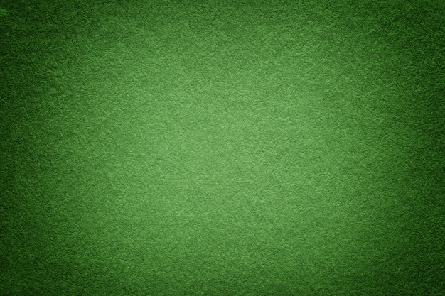 Textura del viejo fondo del Libro Verde, primer. Estructura de cartón denso oliva claro.
