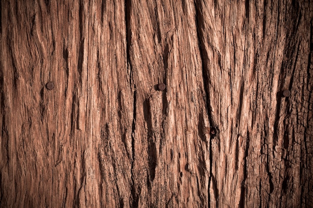 Textura del viejo uso de madera de corteza para el fondo natural