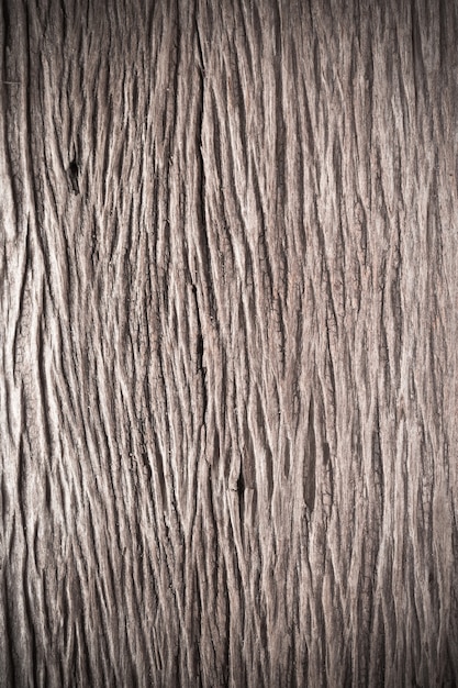 Textura del viejo uso de madera de corteza para el fondo natural