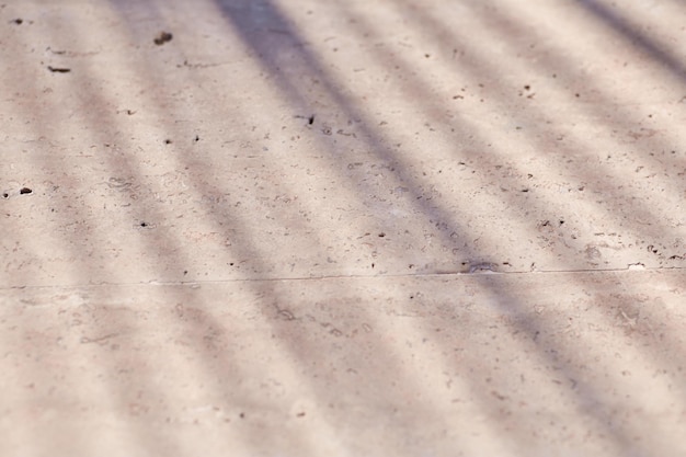 Textura de vista superior de moda con sombra de hoja de palma tropical en la pared de piedra natural beige Fondo de textura de hormigón abstracto de moda mínima para la presentación de productos cosméticos