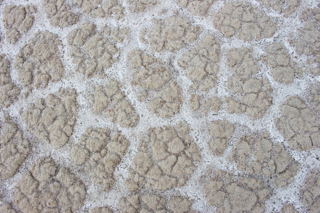 Textura y Relief del Fondo de Lago Salado al secarse creando formas poligonales.