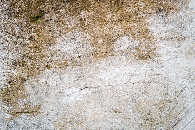 Textura de yesos agrietados.