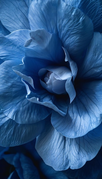 Texturas detalhadas de pétalas de flores azuis fundo da natureza