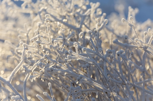 Texturas de nieve patrones de navidad primer plano