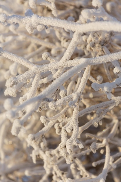 Foto texturas de nieve patrones de navidad primer plano