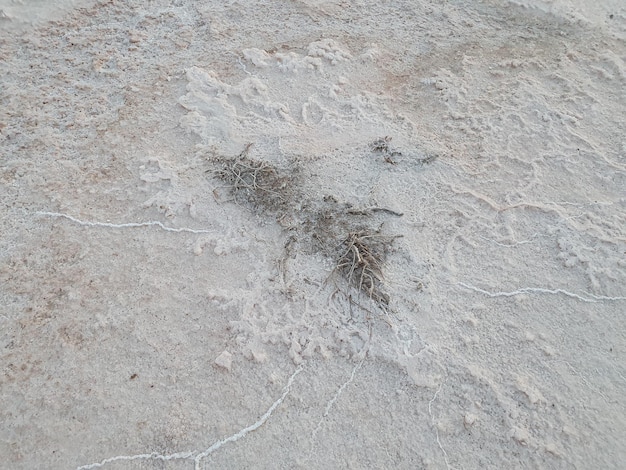 Texturas salinas para fondos junto a lago salado de Torrevieja