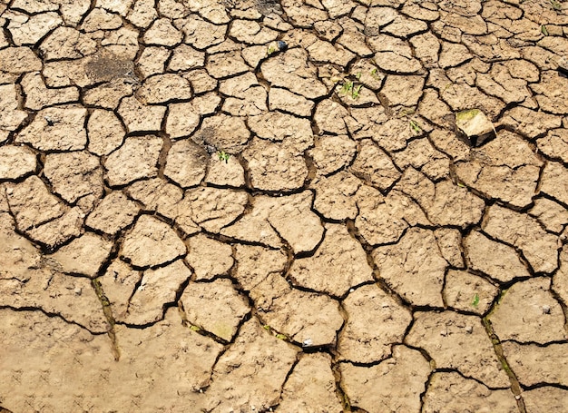 texturas de suelo seco