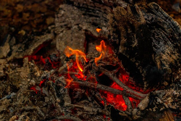 Texturflamme von brennenden Stämmen in der Nacht