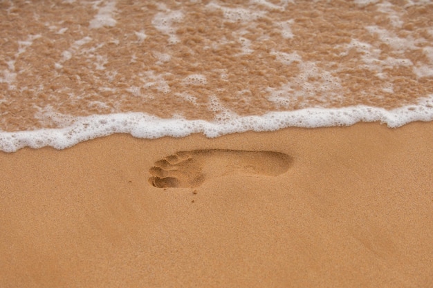 Texturhintergrund Fußabdrücke menschlicher Füße auf dem Sand auf dem Sand