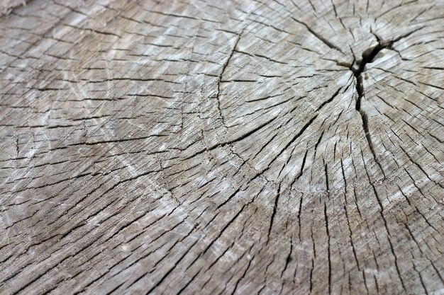 Texturoberfläche aus Holz