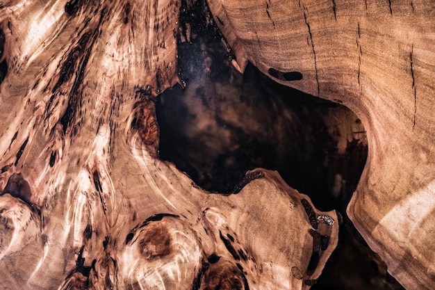 Texturquerschnitt der Ulme. Natürlicher Wurzelholzhintergrund. Holzoberfläche. Exotisches schönes Holzmuster. Lebende Ulmenplatte. Holzbearbeitung und Tischlerei Produktion. Herstellung von Möbeln.