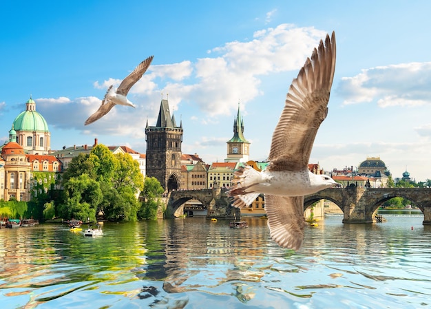 Tha Charles Bridge em Praga no dia de verão