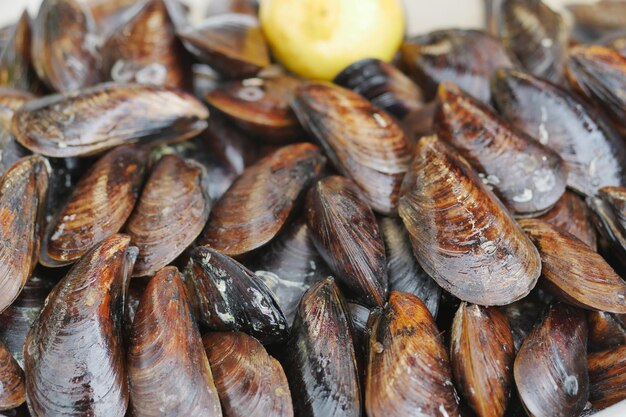 Thailändische Muscheln aus Metall auf Tischplatte