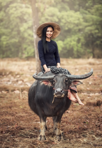 (Thailändischer) Landwirt der Asiatin mit einem Büffel auf dem Gebiet