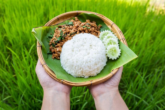 Thailändischer Lebensmittel-Reis überstieg mit angebratener Schweinefleisch- und Basilikumgurke im traditionellen Bambuswebarteller