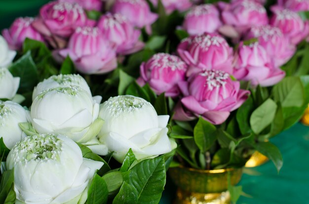 Thailändischer traditioneller Art faltender Blumenstrauß des weißen Lotos