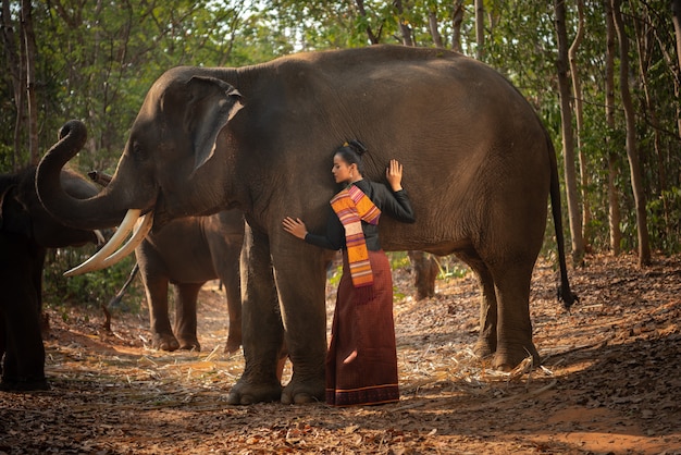 Thailändisches schönes Mädchen mit Elefanten