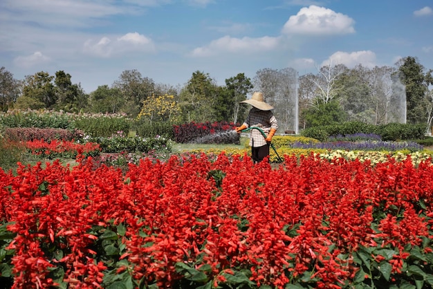 Thailand, Chang Mai, Sankhampang Hot Springs, ein Gärtner bewässert den Springs-Garten