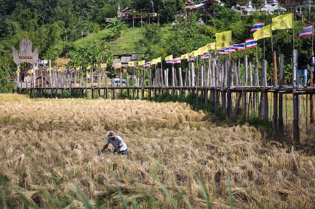 Thailand entdecken