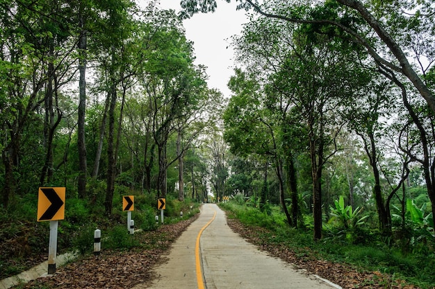 Thailand LandstraßenlandschaftTraveller Reise durch Straßendie Landschaft der Landstraße