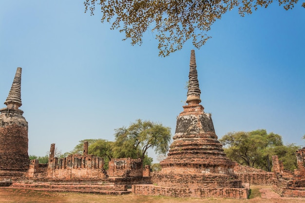 THAILAND Ruinen und Antiquitäten im Ayutthaya Historical Park Touristen aus aller Welt Buddha verfallen