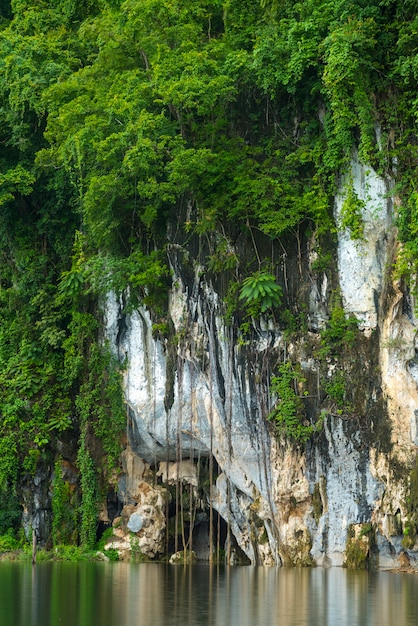 Thailand-tropische Waldlandschaftsansicht