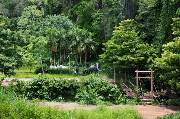 Tham Le Stegodon Wang Kluai Meereshöhle und Tunnel im Kalksteinberg im UNESCO Global Geopark für Thailänder und ausländische Reisende besuchen die Höhle am 11. April 2022 in Satun Thailand