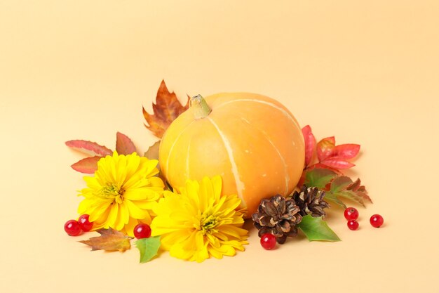 Thanksgiving Day Komposition mit Kürbis auf beige Hintergrund