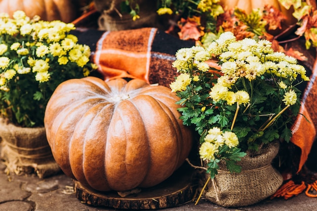 Thanksgiving Day Stilleben: Kürbisse legen auf festlichen Hintergrund, sonnigen Herbstabend nach der Versammlung, geringe Schärfentiefe