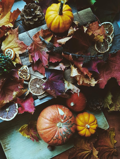 Thanksgiving Hintergrund Kürbisse Herbstlaub Orangen und Zapfen auf Holzhintergrund Thanksgiving Haloween oder saisonales Herbstkonzept Draufsicht selektiver Fokus getönt