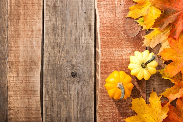 Thanksgiving-Hintergrund mit Kürbissen und Ahornblättern