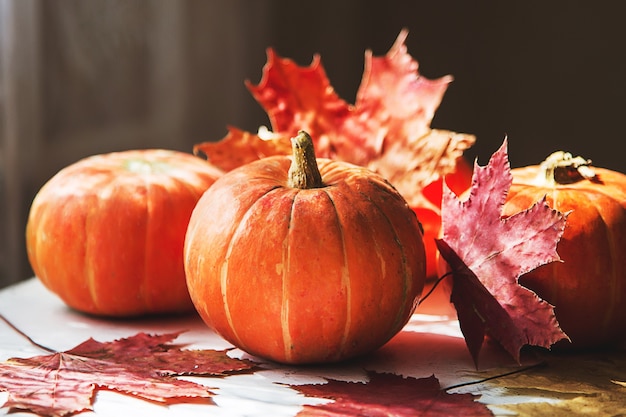 Thanksgiving- oder Halloween-Kürbisse mit Herbstlaub