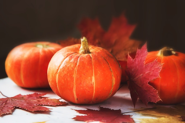 Thanksgiving- oder Halloween-Kürbisse mit Herbstlaub